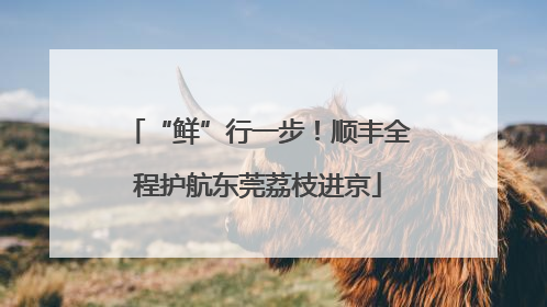 “鲜”行一步！顺丰全程护航东莞荔枝进京