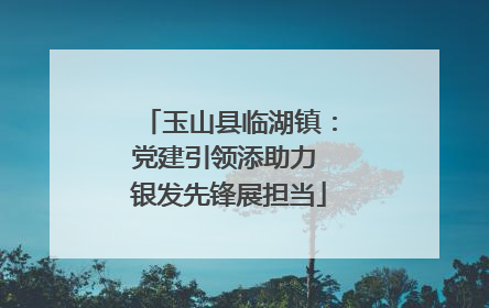 玉山县临湖镇：党建引领添助力 银发先锋展担当
