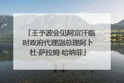王予波会见阿富汗临时政府代理副总理阿卜杜·萨拉姆·哈纳菲
