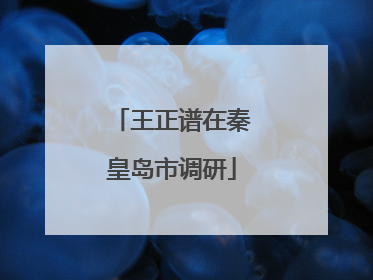 王正谱在秦皇岛市调研