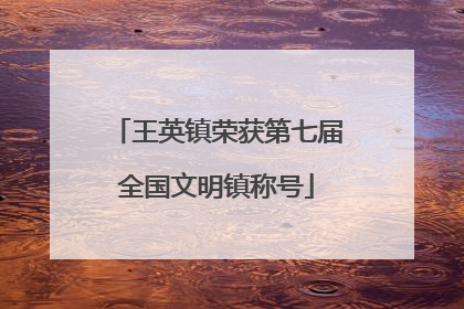 王英镇荣获第七届全国文明镇称号