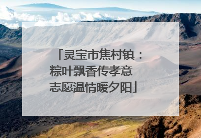 灵宝市焦村镇：粽叶飘香传孝意 志愿温情暖夕阳