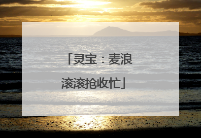 灵宝：麦浪滚滚抢收忙