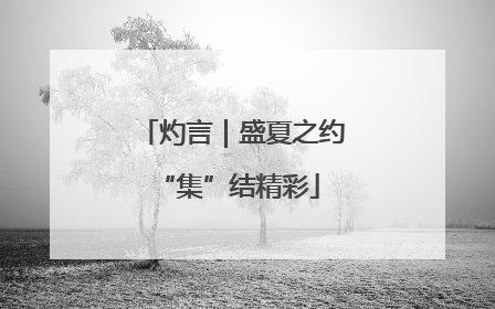 灼言｜盛夏之约 “集”结精彩