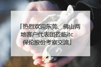 热烈欢迎东莞、佛山两地客户代表团莅临itc保伦股份考察交流