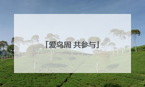 爱鸟周 共参与