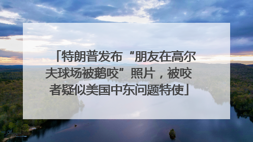 特朗普发布“朋友在高尔夫球场被鹅咬”照片，被咬者疑似美国中东问题特使