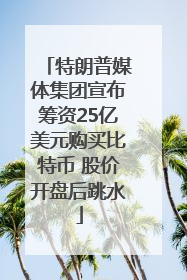 特朗普媒体集团宣布筹资25亿美元购买比特币 股价开盘后跳水