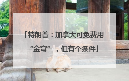 特朗普：加拿大可免费用“金穹”，但有个条件