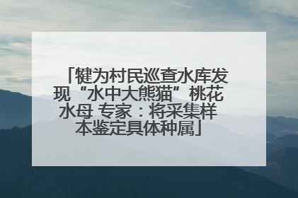犍为村民巡查水库发现“水中大熊猫”桃花水母 专家：将采集样本鉴定具体种属