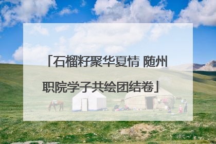 石榴籽聚华夏情 随州职院学子共绘团结卷
