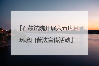 石鼓法院开展六五世界环境日普法宣传活动