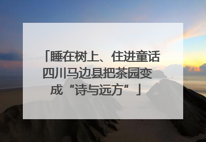 睡在树上、住进童话 四川马边县把茶园变成“诗与远方”