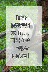 瞭望｜福建漳州东山县，画出守护“蝶岛”同心圆