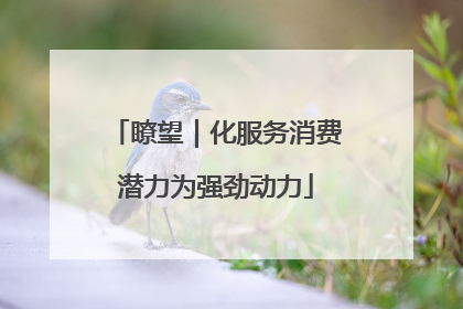 瞭望｜化服务消费潜力为强劲动力