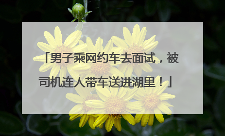 男子乘网约车去面试，被司机连人带车送进湖里！