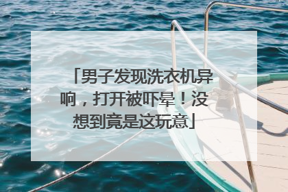 男子发现洗衣机异响，打开被吓晕！没想到竟是这玩意