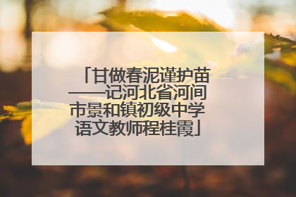 甘做春泥谨护苗——记河北省河间市景和镇初级中学语文教师程桂霞