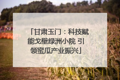 甘肃玉门：科技赋能戈壁绿洲小院 引领蜜瓜产业振兴