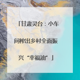 甘肃灵台：小车间榨出乡村全面振兴“幸福油”