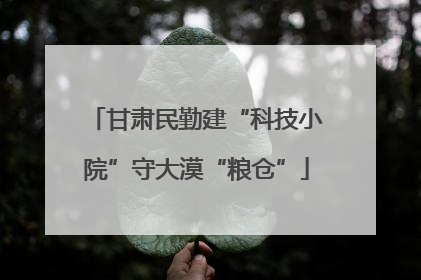 甘肃民勤建“科技小院”守大漠“粮仓”