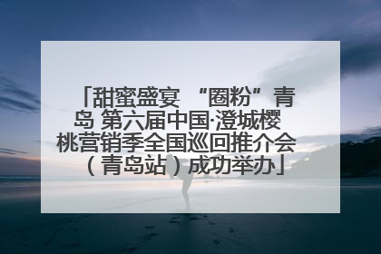 甜蜜盛宴 “圈粉”青岛 第六届中国·澄城樱桃营销季全国巡回推介会（青岛站）成功举办