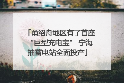 甬绍舟地区有了首座“巨型充电宝” 宁海抽蓄电站全面投产