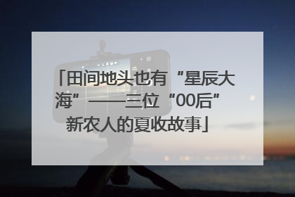 田间地头也有“星辰大海”——三位“00后”新农人的夏收故事