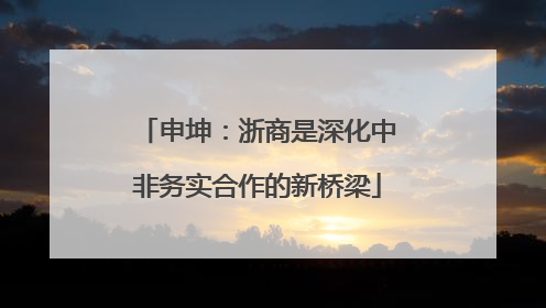 申坤：浙商是深化中非务实合作的新桥梁
