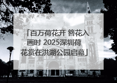 百万荷花开 簪花入画时 2025深圳荷花赏在洪湖公园启幕