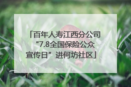 百年人寿江西分公司“7.8全国保险公众宣传日”进何坊社区