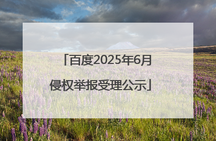 百度2025年6月侵权举报受理公示