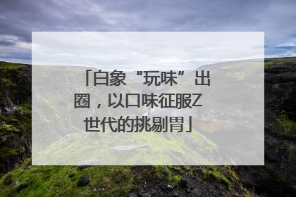 白象“玩味”出圈，以口味征服Z世代的挑剔胃