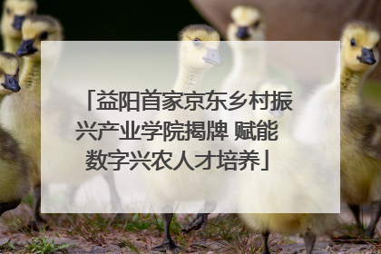 益阳首家京东乡村振兴产业学院揭牌 赋能数字兴农人才培养
