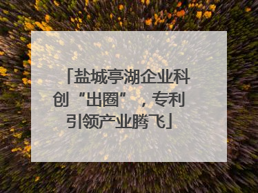 盐城亭湖企业科创“出圈”，专利引领产业腾飞