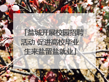 盐城开展校园招聘活动 促进高校毕业生来盐留盐就业