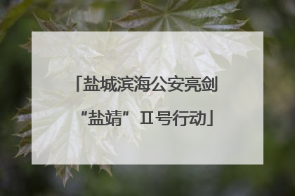盐城滨海公安亮剑“盐靖”Ⅱ号行动