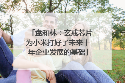 盘和林：玄戒芯片为小米打好了未来十年企业发展的基础