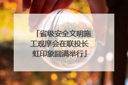 省级安全文明施工观摩会在联投长虹印象圆满举行