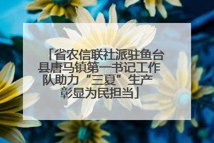 省农信联社派驻鱼台县唐马镇第一书记工作队助力“三夏”生产 彰显为民担当