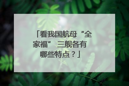 看我国航母“全家福” 三舰各有哪些特点？