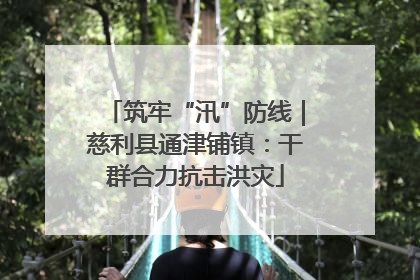 筑牢“汛”防线｜慈利县通津铺镇：干群合力抗击洪灾