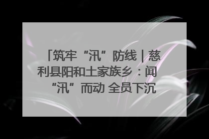 筑牢“汛”防线｜慈利县阳和土家族乡：闻“汛”而动 全员下沉筑牢防汛“安全堤”