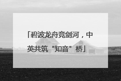 碧波龙舟竞剑河，中英共筑“知音”桥
