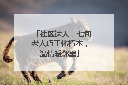 社区达人｜七旬老人巧手化朽木，温情暖邻里