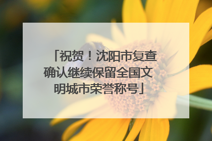 祝贺！沈阳市复查确认继续保留全国文明城市荣誉称号