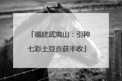 福建武夷山：引种七彩土豆喜获丰收