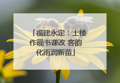福建永定：土楼作砚书课改 客韵化雨润新苗