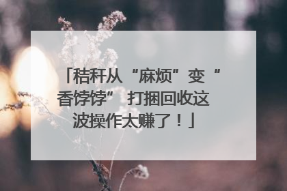 秸秆从“麻烦”变“香饽饽” 打捆回收这波操作太赚了！
