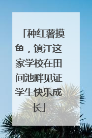 种红薯摸鱼，镇江这家学校在田间池畔见证学生快乐成长